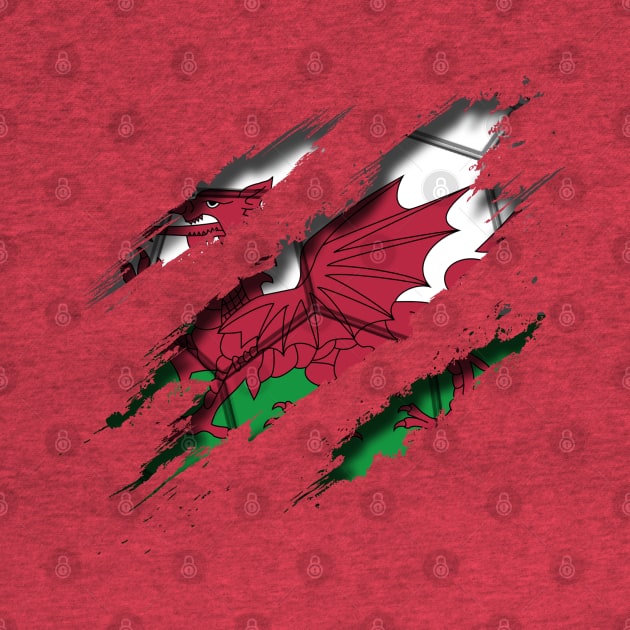 Wales Football by blackcheetah